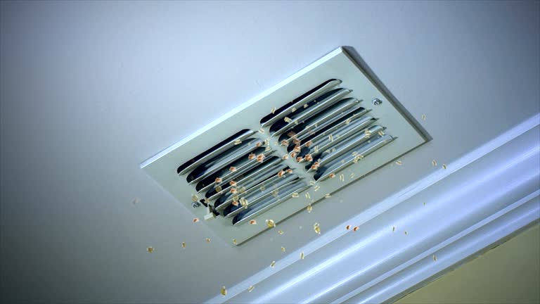 Best Commercial Air Duct Cleaning  in Maunawili, HI
