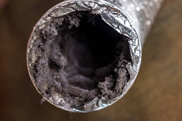 Best Air Duct Cleaning Near Me in Maunawili, HI